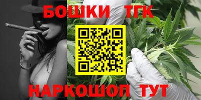 спайс Тара